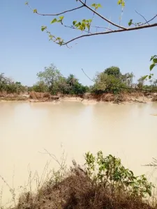 Byggegrund Til salg 0000 Brikama Gambia  DE