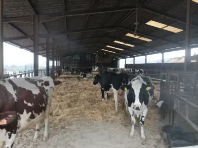 Gård Til salg 54000 GRAFIGNY FR